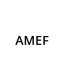 EX-PRESIDENT OF THE BOARD AMEF